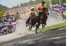 Horse race on the Bac Ha Plateau