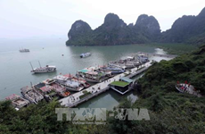 Programme promotes actions for green Ha Long