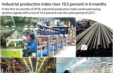 Industrial production index expands 10.5 percent in six months