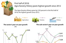 Agro-forestry-fishery in H1 posts highest growth since 2012