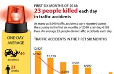 Traffic accidents kill 23 people each day