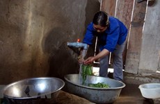 About 52 percent of rural residents in Hanoi enjoy clean water