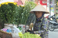 A glimpse at female street vendors in Hanoi