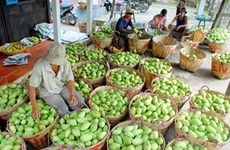 Fruit, veggie exports likely to earn Vietnam 4.7 billion USD in 2018