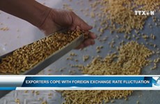 Exporters cope with foreign exchange rate fluctuation 
