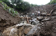 Casualties, missing victims from landslides in Lai Chau amount to 15 