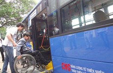 Da Nang seeks ways to promote public transport 
