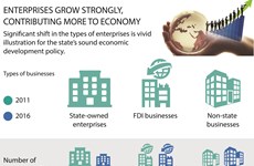 Enterprises grow strongly, contributing more to economy