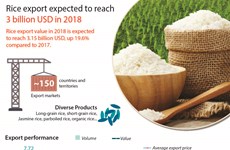 Rice export expected to reach 3 billion USD