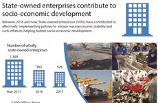 State-owned enterprises contribute to socio-economic development