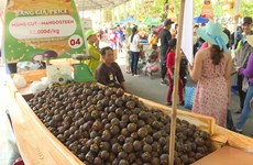 Southern fruit festival begins in HCM City