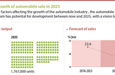 Forecast of growth of automobile sale in 2025