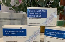 Two more ‘made-in-Vietnam’ coronavirus test kits approved by EU