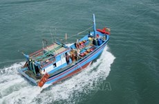 Tien Giang moves to preserve aquatic resources, fight IUU fishing