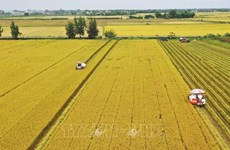 Suitable policies would boost digital transformation in agriculture: expert