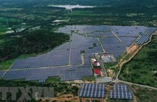 Vietnam strengthens int'l cooperation to promote renewable energy development