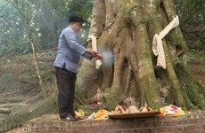 Forest worship ceremony - special cultural heritage of Mong people