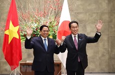 Japan boosts all-round cooperation to help Vietnam realise zero-carbon society: Ambassador