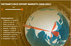 (interactive) Vietnam's rice export markets (2009-2021)