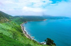 Da Nang moves to exploit tourism potential of Son Tra Peninsula