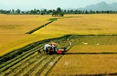 Ninh Thuan looks forward to sustainable agricultural-rural development 