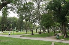HCM City issues big green-up plan
