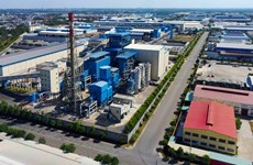 Binh Duong leverages industrial ecosystems to lead FDI growth