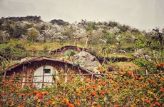 Some of the lovely homestays in the Moc Chau plateau 