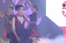 Promoting Vietnamese tourism via fashion