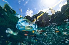 More efforts needed to clean up ocean plastic waste