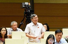 Special policies needed for Van Phong Economic Zone