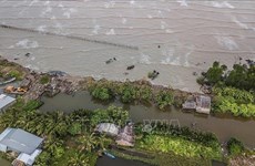 Project helps strengthen Mekong Delta’s resilience against climate change 