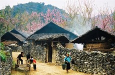 Ha Giang’s magnificent beauty lures travelers