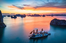 Vietnam tourism heads for strong recovery