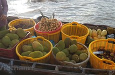 Cai Rang float market: highlight of Can Tho unique river culture 