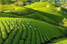 Action plan to promote green growth in agriculture