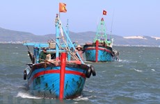 Vietnam maintains efforts to fight IUU fishing