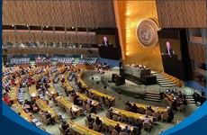 Vietnam wins seat at UN Human Rights Council
