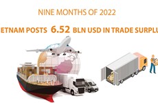 Vietnam enjoys 6.52 billion USD in trade surplus in nine months