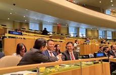 Vietnam’s election to UNHRC affirms efforts in promoting human rights