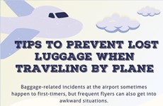 Tips to prevent lost luggage when traveling by plane