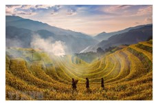 Mu Cang Chai tourism seeing strong recovery  ​