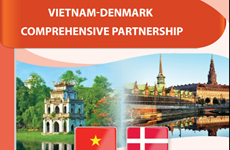 Vietnam-Denmark comprehensive partnership