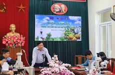 EU helps Vietnam improve safety of agricultural exports 