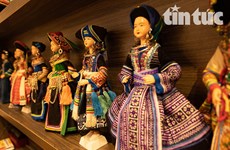 Painter promotes Vietnamese ethnic minority outfits globally through dolls