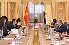 Vietnam Foreign Minister’s visit to Brunei opens up cooperation opportunities