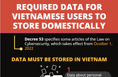 Required data for Vietnamese users to store domestically