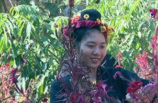 Cong ethnic minority in Dien Bien celebrate Flower Festival