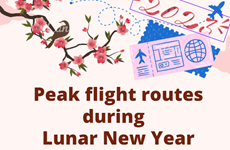 Peak flight routes during  Lunar New Year