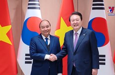 Vietnam, RoK lift ties to comprehensive strategic partnership